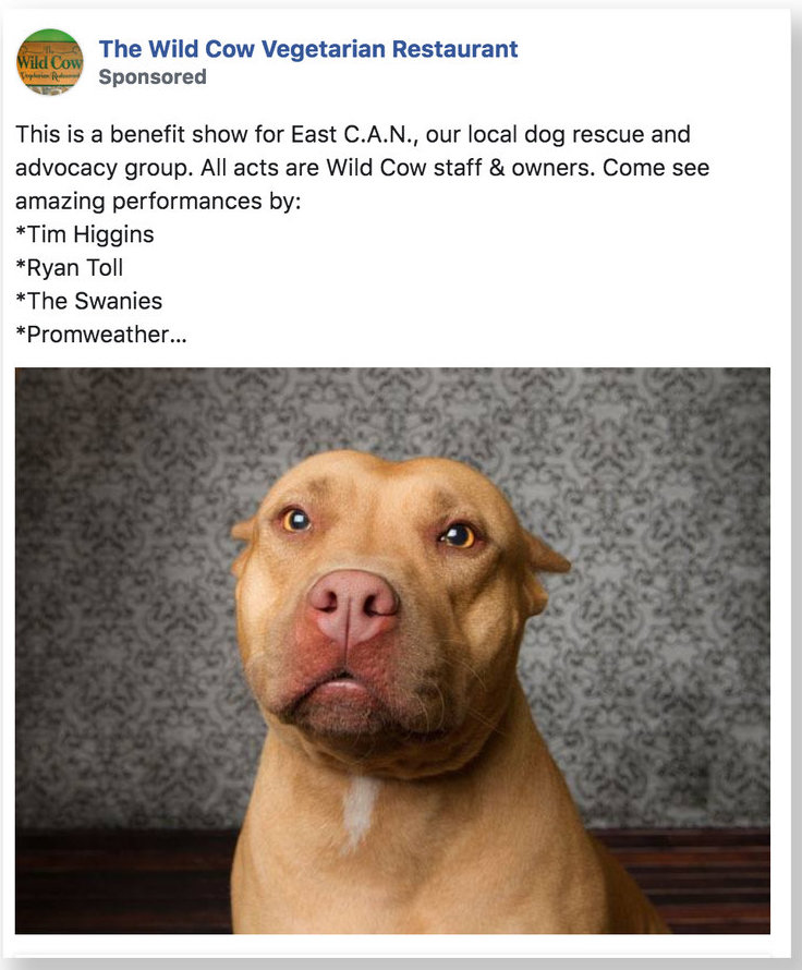 facebook_is_having_some_teething_problems_with_its_election_advertising_fix_-_1