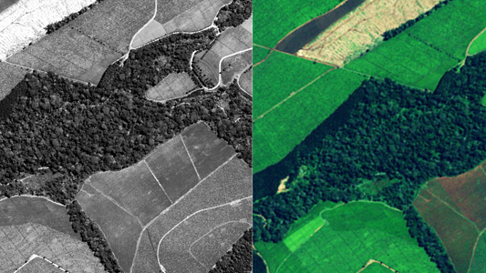 live_google_earth_3