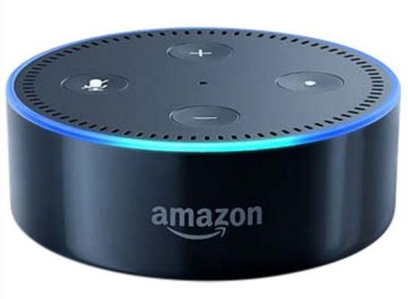 Comerciante itinerante Perseguir honor How To Update Firmware on the Amazon Echo Dot