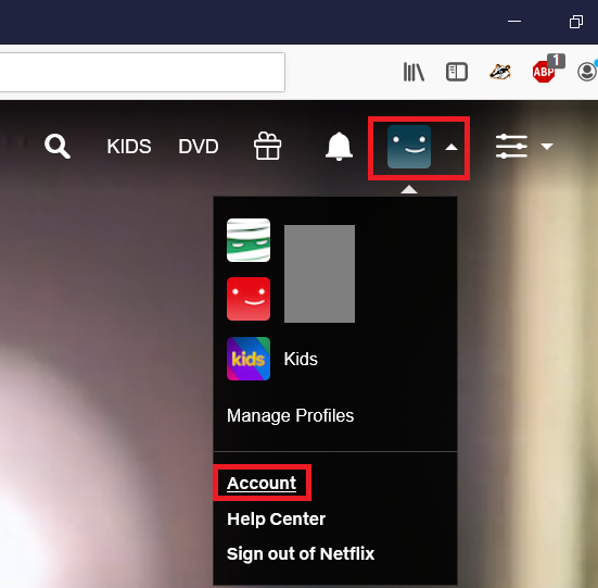 Netflix account link