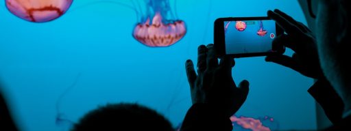 How to Resize a Video