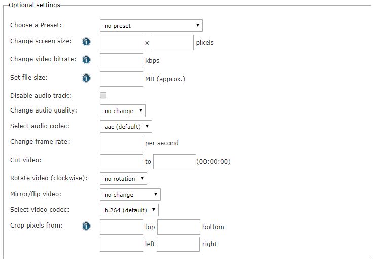 Online Converter Optional Settings