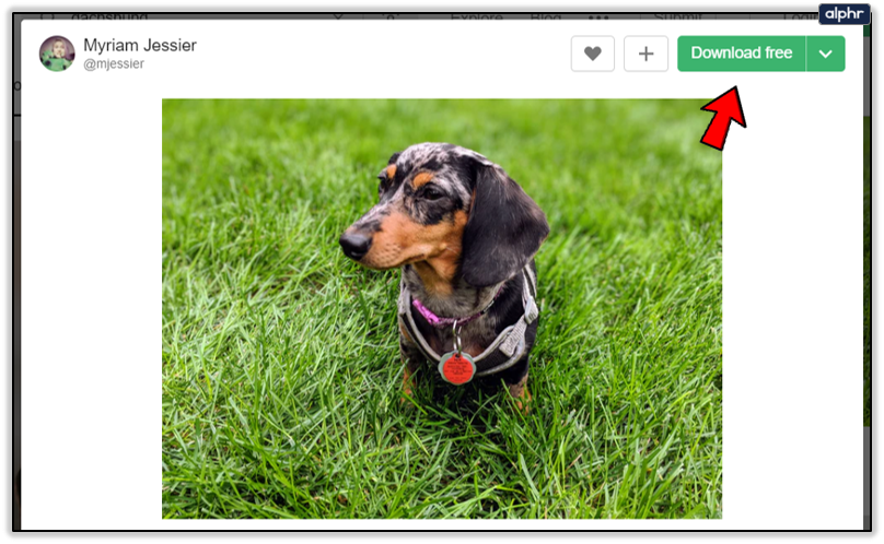 How To Automatically Open Downloads in Chrome