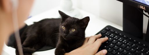 How to Enable Active Directory Windows 10