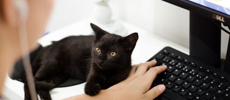 How to Enable Active Directory Windows 10