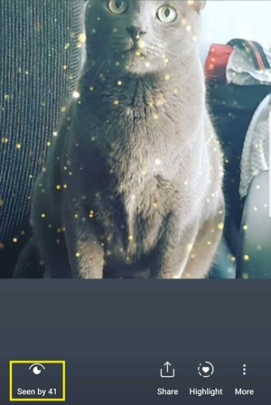 Instagram Story Order Changes Often
