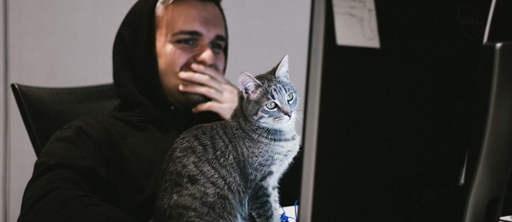 How to Calculate P Value in Google Sheets