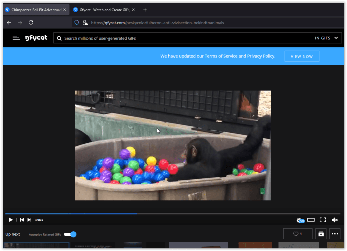 How To Download Gifs On Gfycat