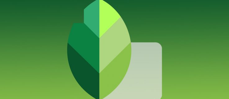 Snapseed App How to Add Text