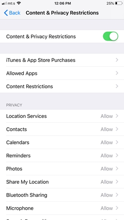 content & privacy restrictions