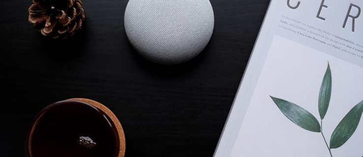 How to delete google home device