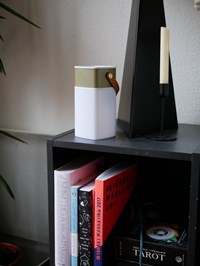 connect echo show 5 to bluetooth speaker