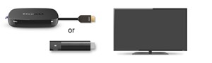 play roku