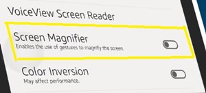 screen magnifier
