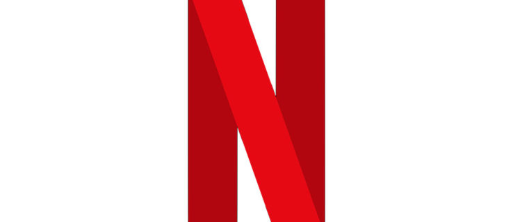 Can Echo Show Play Netflix