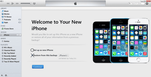 iTunes