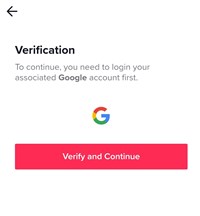 verify and continue
