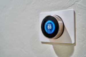 Nest