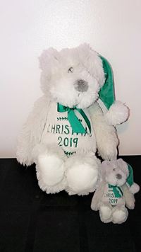 Larger bear and smaller bear