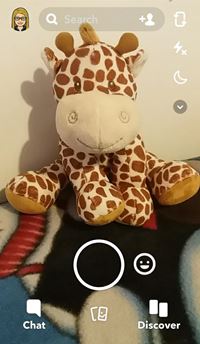 SnapChat Photo Screen