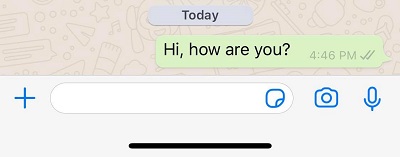 What Do The Ticks Mean On Whatsapp? One-Double Check Marks in Whatsapp