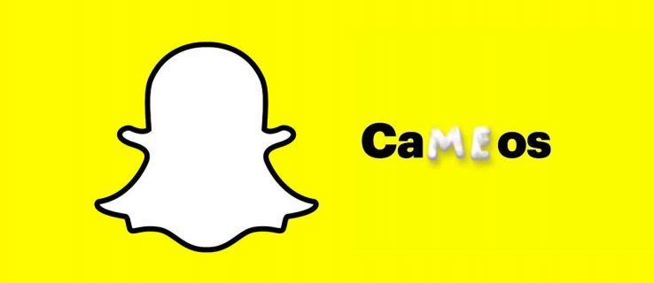 Snapchat Cameos Not Showing Up
