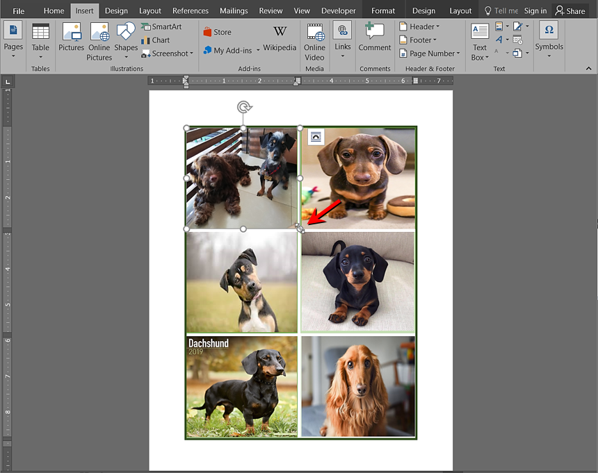 best-software-to-make-photo-collage-mac-zoneluli