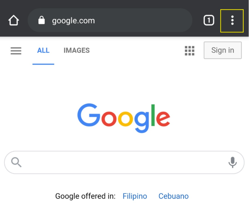 Google Homepage - iPhone