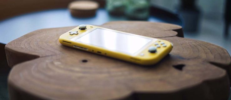 nintendo switch what are the usb ports for