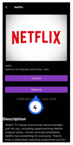 Roku App Netflix Channels page