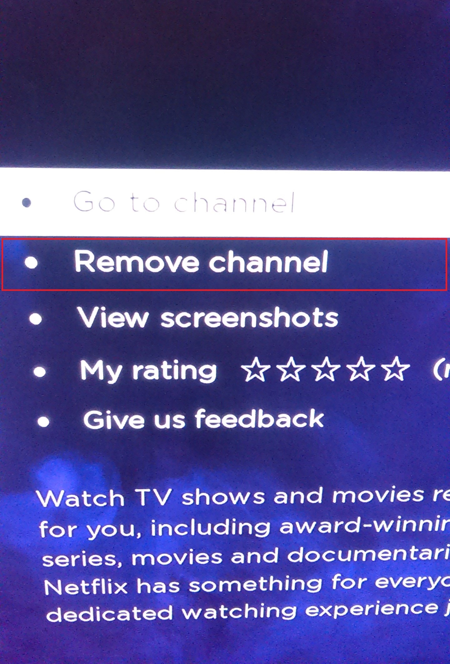 Roku Netflix Channel Settings