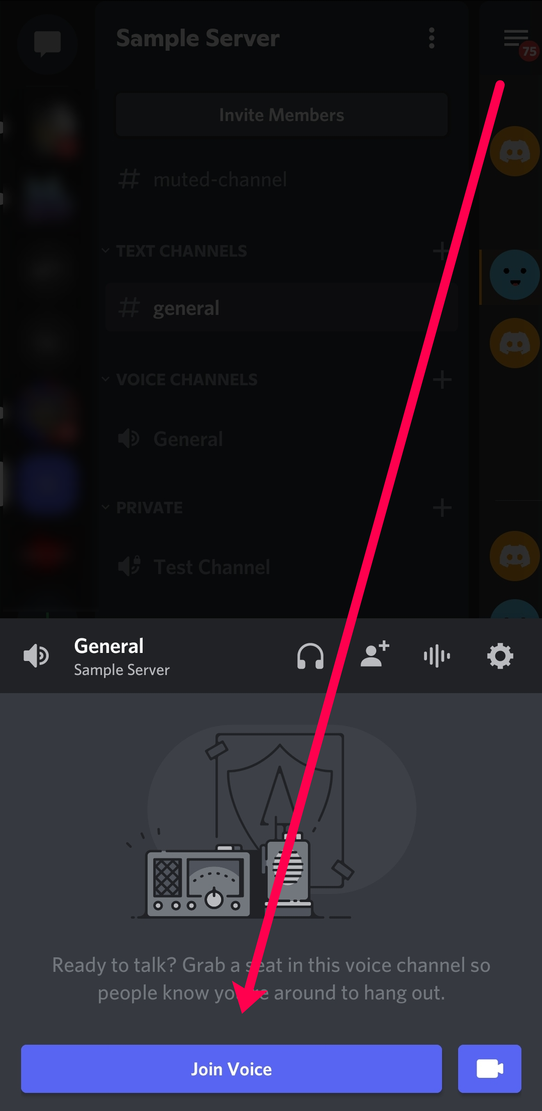 How to Screen Share on Discord