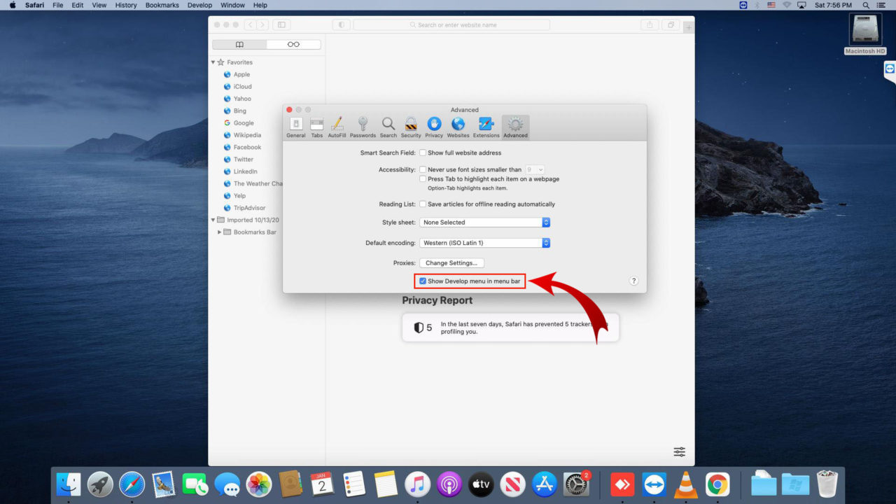 How to Clear Cache and Cookies in Safari