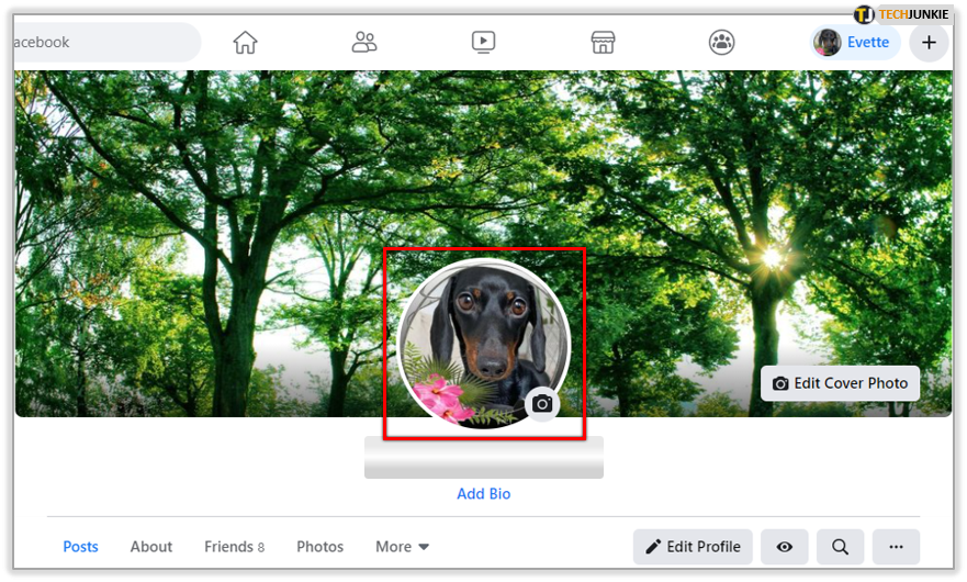 How To Make a Temporary Facebook Profile Picture