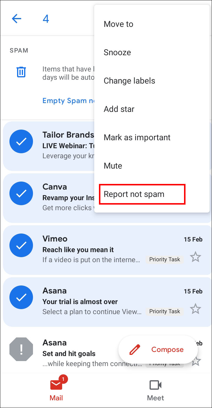How to Your Junk Spam Folder in Gmail