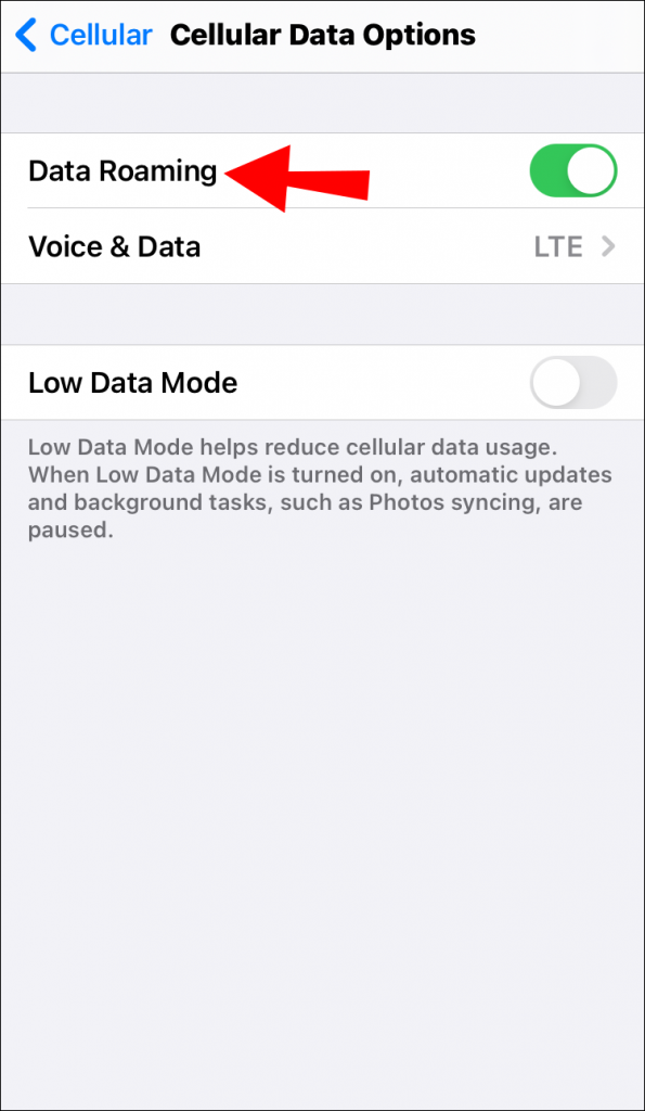 Could Not Activate Cellular Data Network [Fixes]