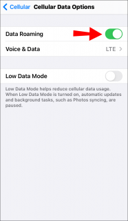 Could Not Activate Cellular Data Network [Fixes]