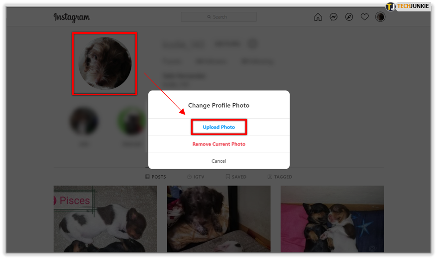 How To Change Profile Picture On Instagram