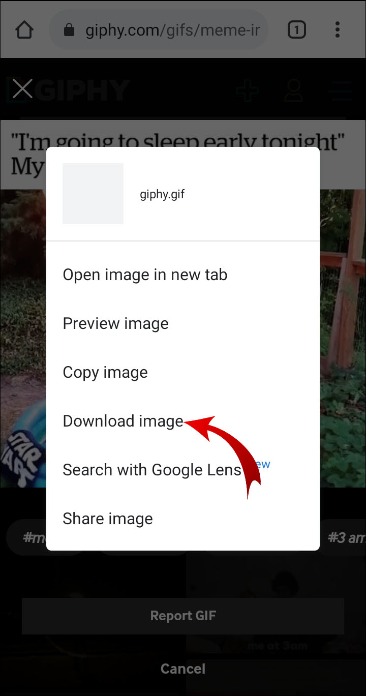 How to download Gifs from Giphy 2023 