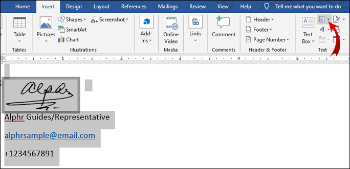 how to create an electronic signature in word on a mac