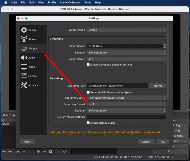 How to Record Discord Audio in OBS