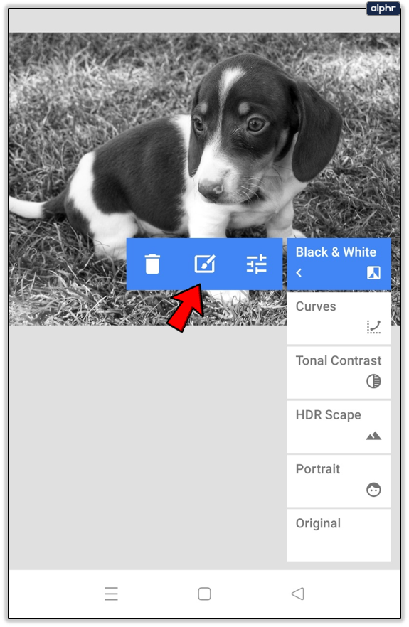 How to Invert Colors on Snapseed in Android, by lily johnsol