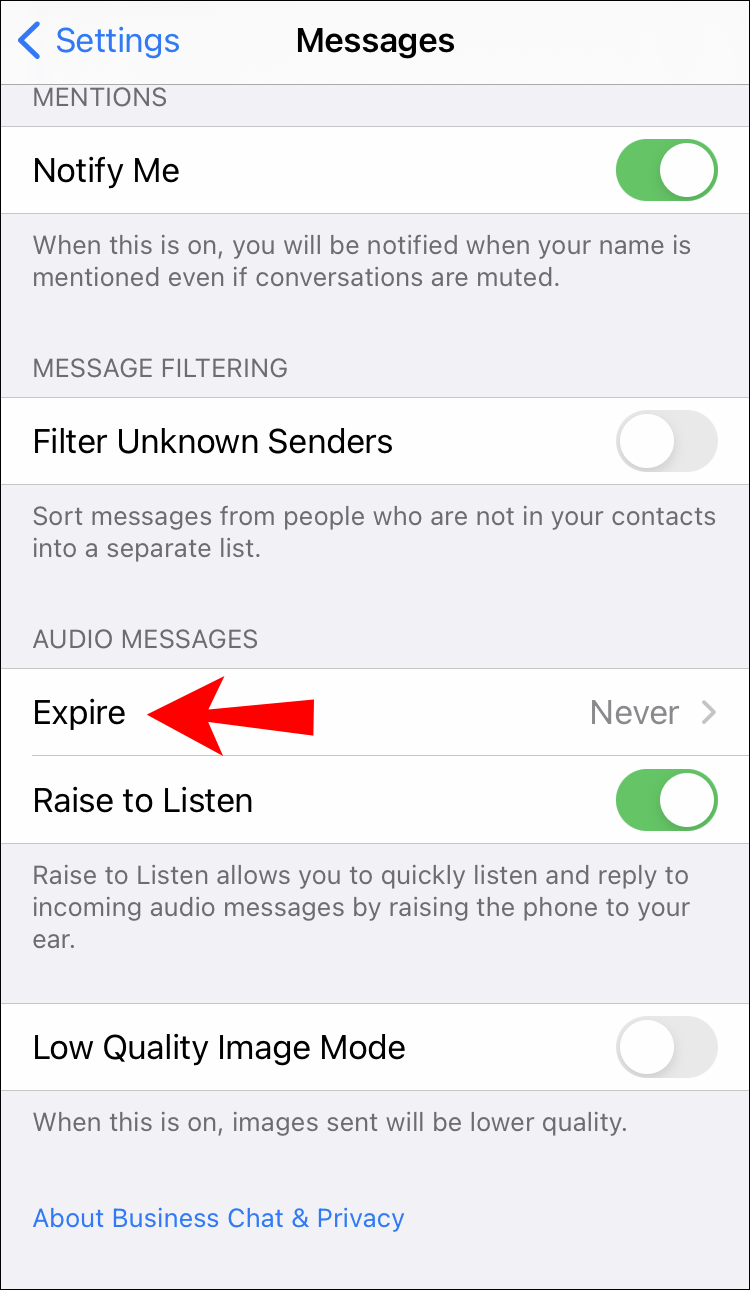 How To Send Audio Message On Iphone 11