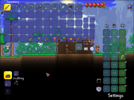 How To Get NPCs in Terraria