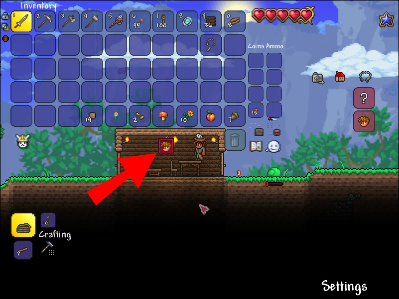 How To Get NPCs in Terraria