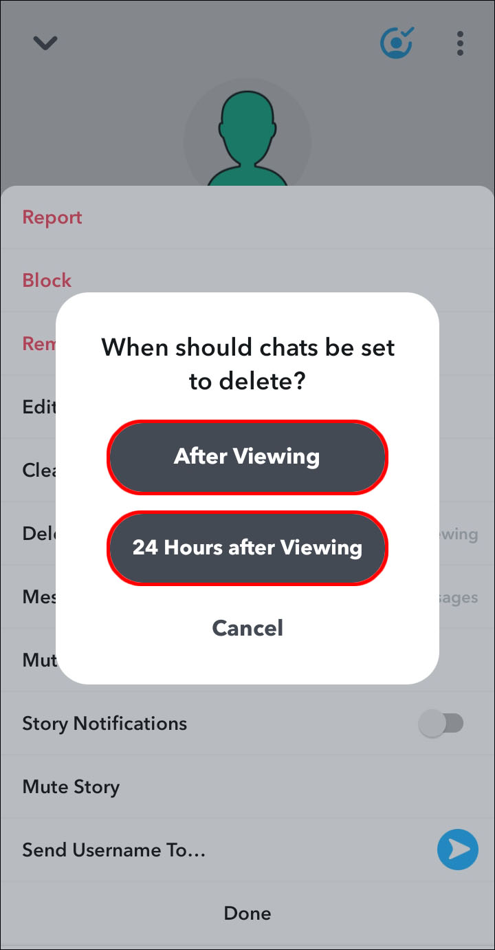 Chat 24