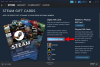 How To Gift A Steam Game Screenshot 3 25 100x67 