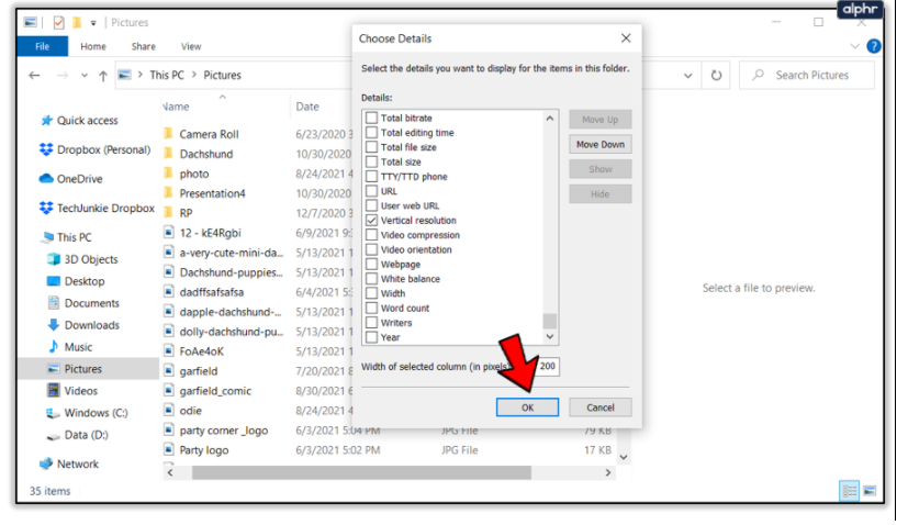 Photo - Choose Details Window