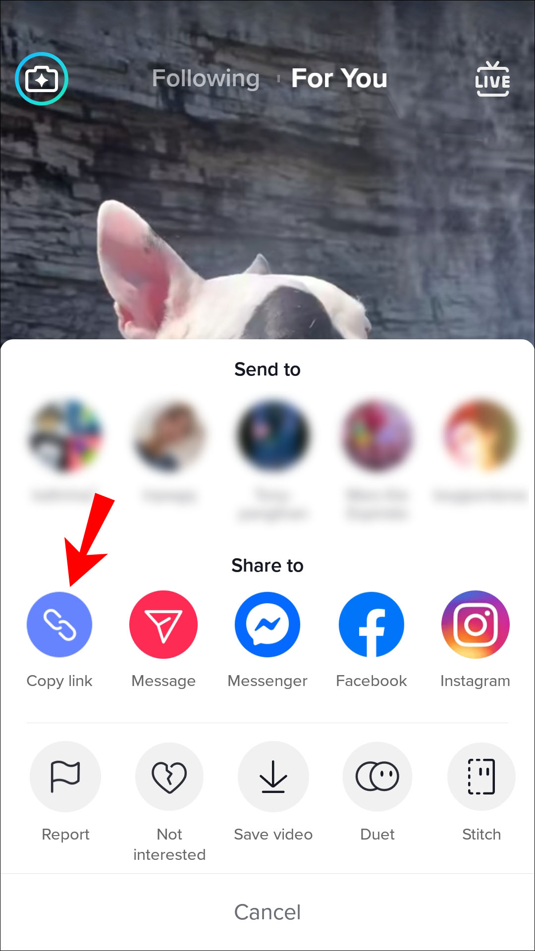 How to Copy Link on Tiktok