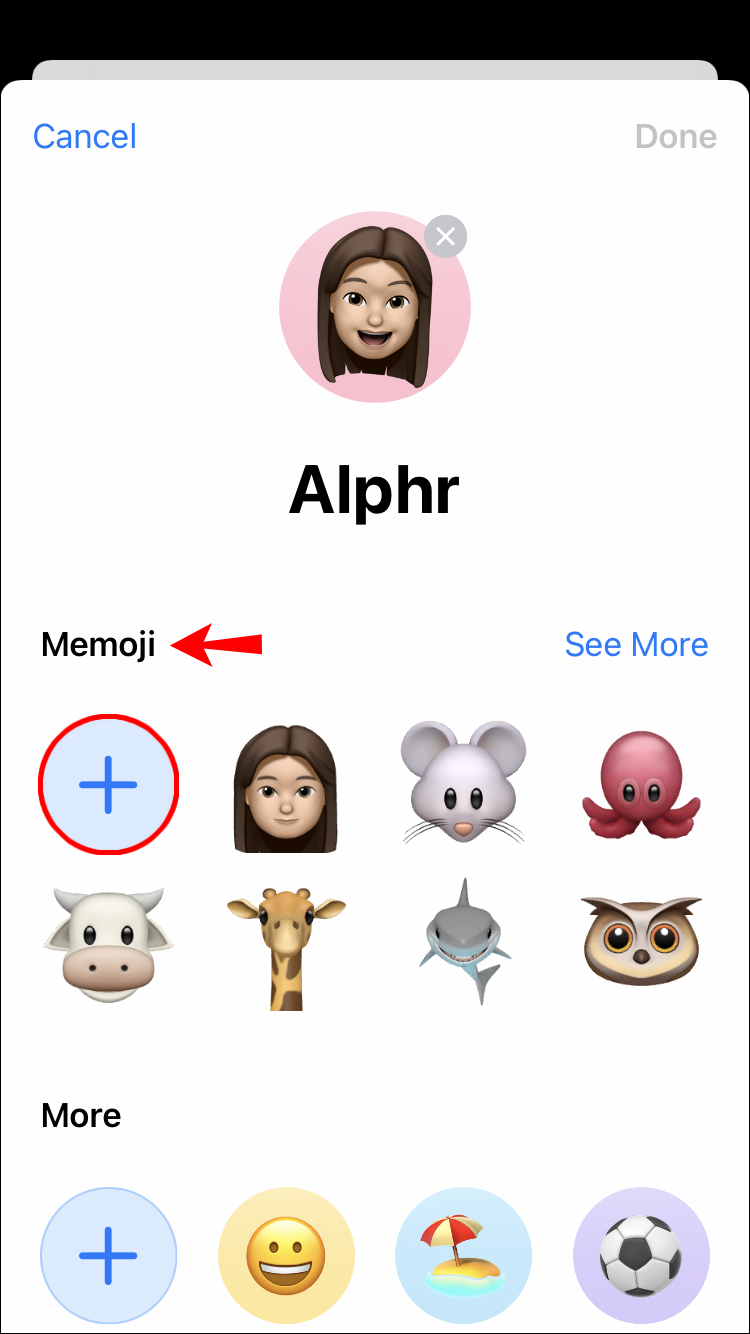 How to Set Memoji as Apple ID and Contact Photo in iOS 13